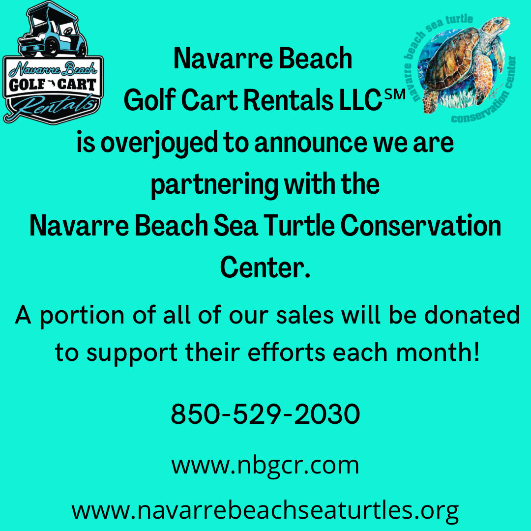 navarre-beach-golf-cart-rentals-cityslick